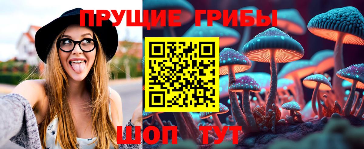 Псилоцибиновые грибы Psilocybine cubensis Железноводск